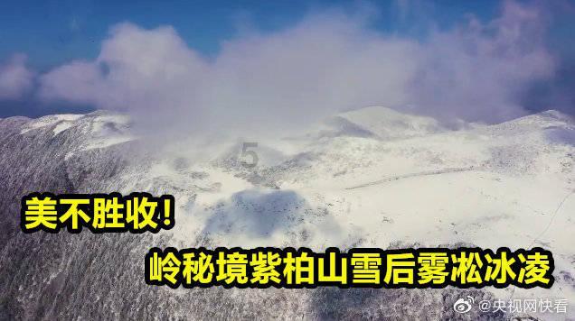 电话和数据系统盘中异动 大幅上涨5.00%